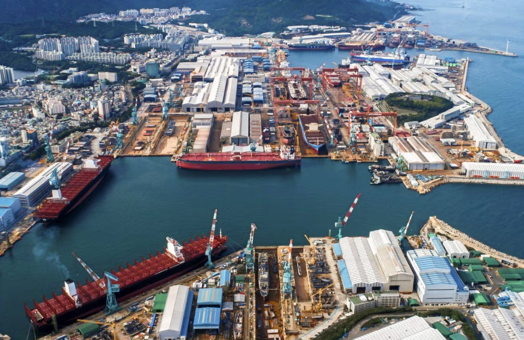 $60 Million Per Vessel! Dubai Shipowner Cashes Out at Peak