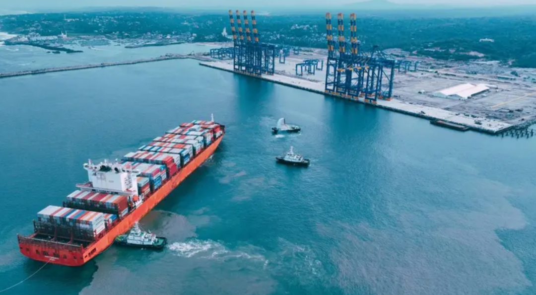 MSC's $1.4 Billion Port Acquisition Hits a Snag in India