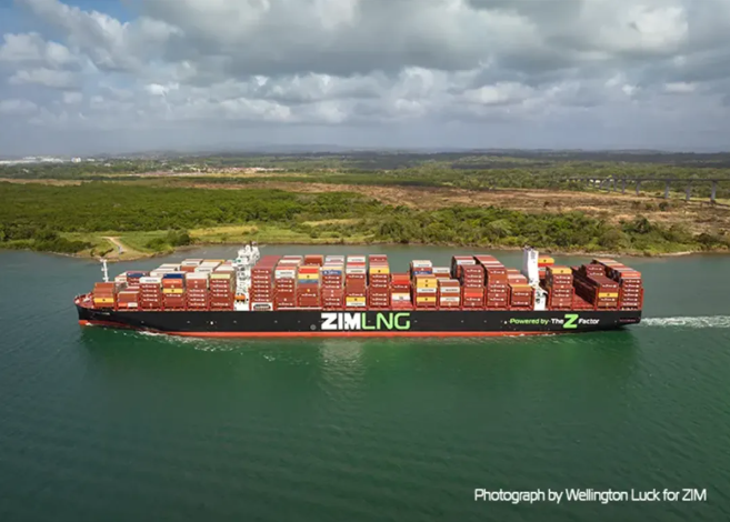 以星四位高管减持大部分股票