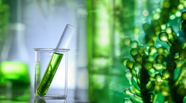 BIMCO Adopts Biofuel Clause
